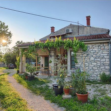 Rural Apartment Geja Umag Bagian luar foto